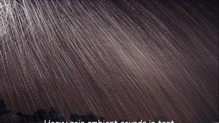 Heavy rain ambient sounds in tent