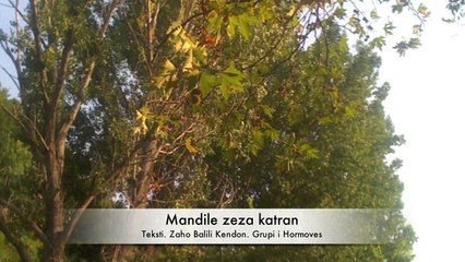 Mandile zeza katran