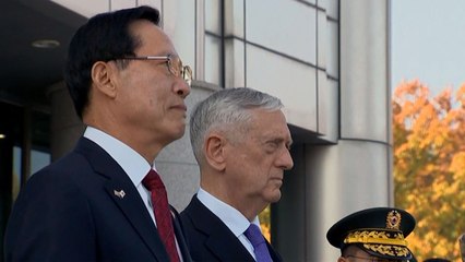 "美 국방, DMZ 방문 당시 블랙호크로 서울 공중 시찰" / YTN