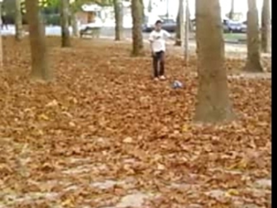 la barre de sami