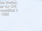 BluVizion USB 30 zu HDMI Adapter  Switch inkl Adapter für DVI  USB 20 kompatibel