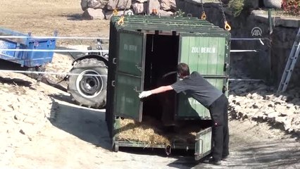 Doğal Yaşam Parkı'nın Yeni Konuğu "Max"