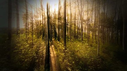 आजतक के सभी अनसुलझे सीरियल मर्डर केसेज़ में कोई भी केस ज़ोडिएक किलर जितना अजीब नहीं है।