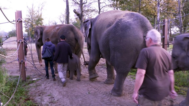Stéphanie de Monaco, marraine de Ta Wan