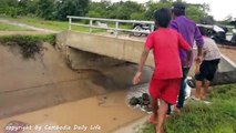 Ooop! Brave Boys Catch Biggest Snake in the Canal While Go Fishing