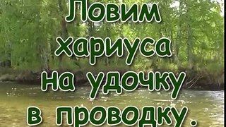 Правильная удочка на хариуса в действии. Забайкальская тайга.