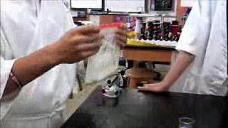 [前進] バナナスクール Full Extracting DNA from a Banana