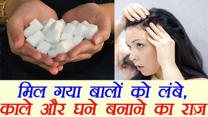 Camphor for Hair Problem | कपूर दूर करेगा बालों की हर परेशानी | Boldsky