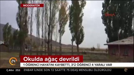 Muş'ta şiddetli fırtına can aldı