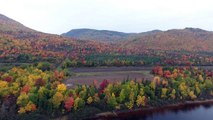 Drone Footage Shows Autumn Foliage in Newfoundland