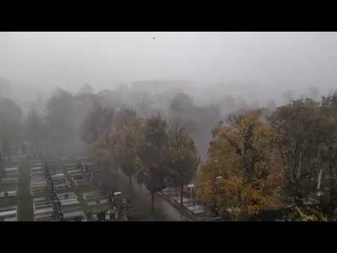 Storm Herwart Brings Strong Winds and Heavy Rains to Vienna