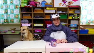 Doctora juguetes en la escuela de perros jugamos con lola y goku