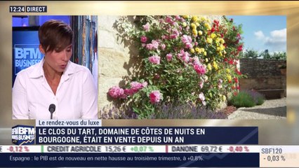 Le Rendez-vous du Luxe: François Pinault s'offre un vignoble bourbuignon pour près de 220 millions d'euros - 30/10