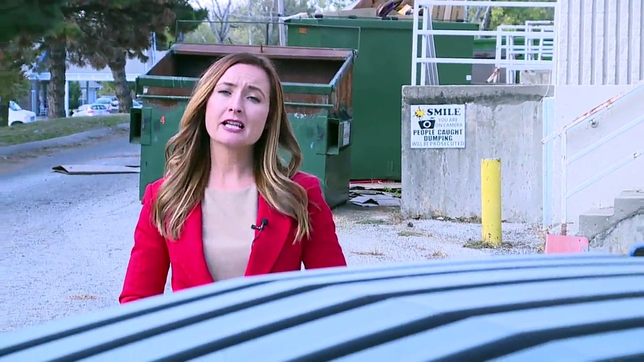 Dog Rescued After Being Left to Die in Dumpster