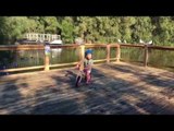 Young Boy Chases Birds on Bike