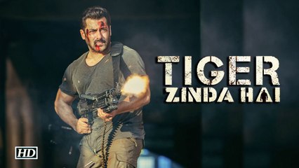 Bruised Tiger-Salman in action | Tiger Zinda Hai