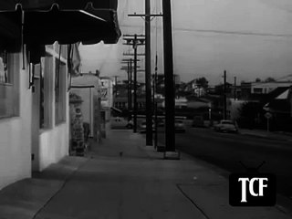 077. Highway Patrol E77 In Lady Bandits