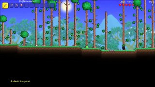 ZWEI Dussel, EIN Spiel - Terraria mit Arazhul [Deutsch/HD]