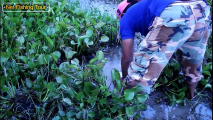 Amazing Eels trap bottle plastic - Eels Trap by using Bottle Plastic