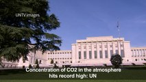 Concentration of CO2 in atmosphere hits record high: UN