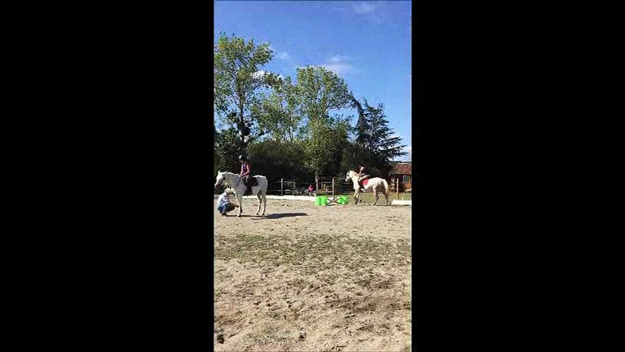 Douchka et vizir saut