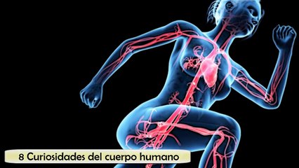 8 CURIOSIDADES DEL CUERPO HUMANO - cosas que no sabías [720p]