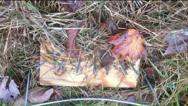 Political Signs in Connecticut Town Tampered with Plywood, Metal Nails Sticking Out: Police