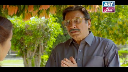 Rasm-e-Duniya Episode 14 - on ARY Zindagi in High Quality 30th October 2017