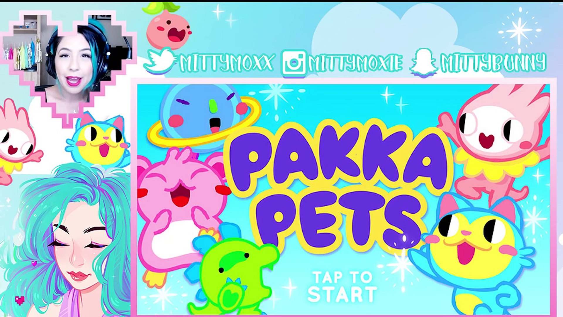 Pakka Pets: Cute little Pets!