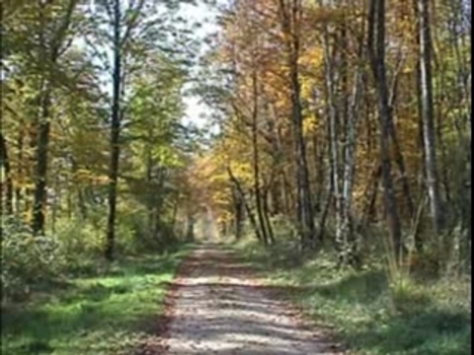 Automne