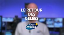 Le retour des gelées