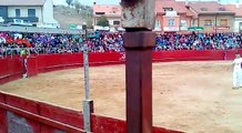 Un torero met au défi un taureau dans un concours de saut