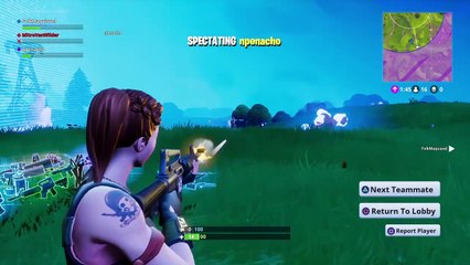 Fortnite Shenanigans