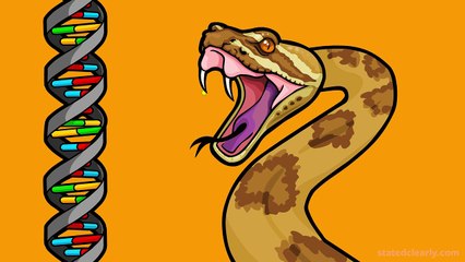 Part 2: How Does New Genetic Information Evolve? Gene Duplications