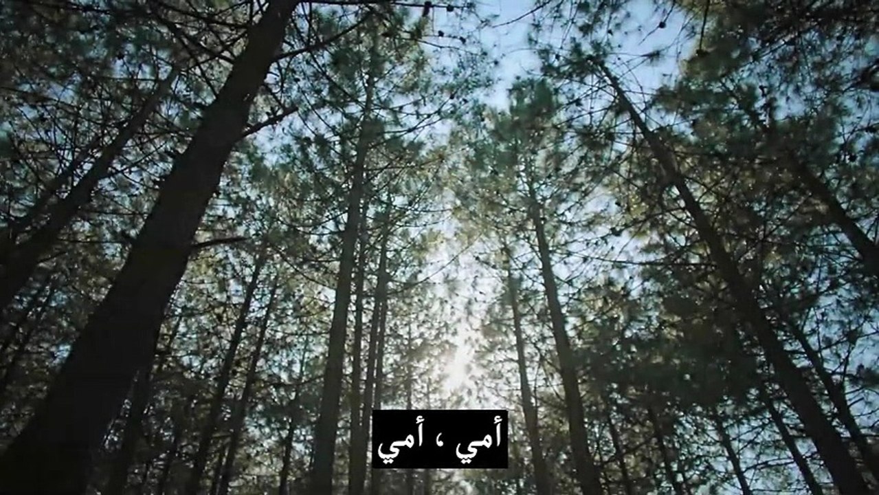 مسلسل تحمل يا قلبي الحلقة 13 و الاخيرة – قسم 1 –