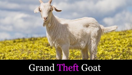 Pensaram que o escritório tinha sido assaltado até que viram as imagens de vigilância