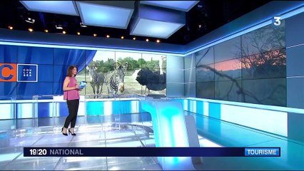 Aude : plongée dans la réserve animalière de Sigean