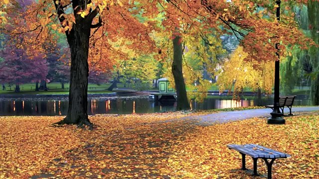 Musica romantica: violoncello e piano per cena romantica, musica rilassante e new age