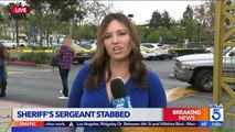 Deputy Stabbed Responding to Man With Knife at Hobby Lobby in California