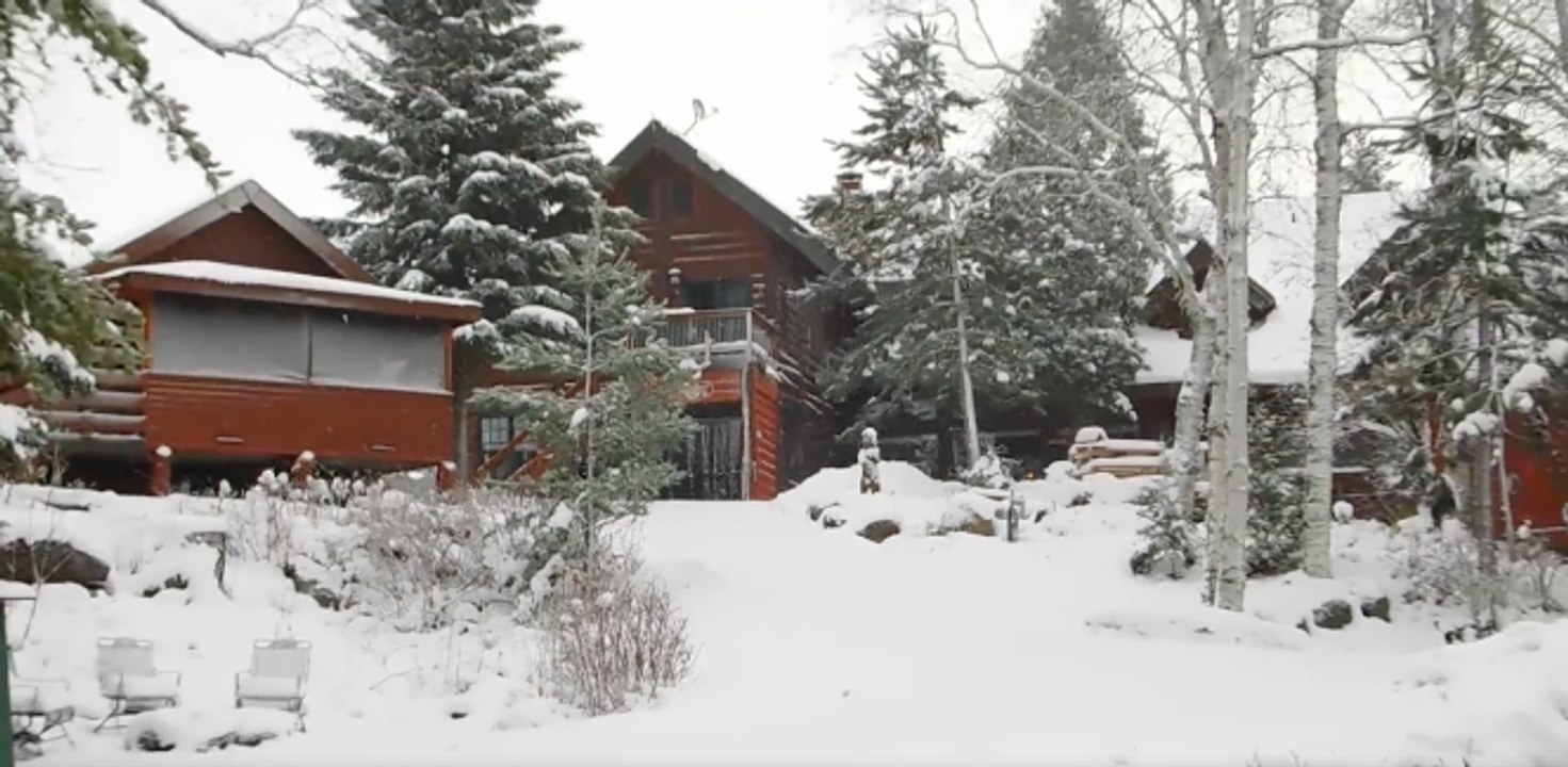 Snowfall in Minnesota Blankets Forest in White