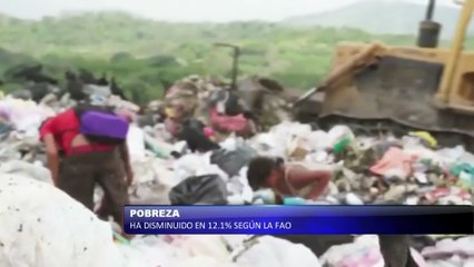 Pobreza ha disminuido en 12.1% según la FAO