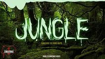 'JUNGLE' insane FREE trap beat 2017 hard aggressive type beat  dark instrumental - 27corazonesBeats