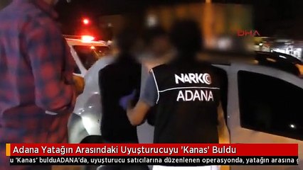 Adana Yatağın Arasındaki Uyuşturucuyu 'Kanas' Buldu