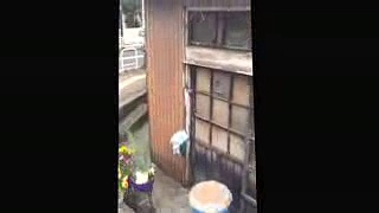 木場 河本 外観 もつ煮込み 酒場放浪記
