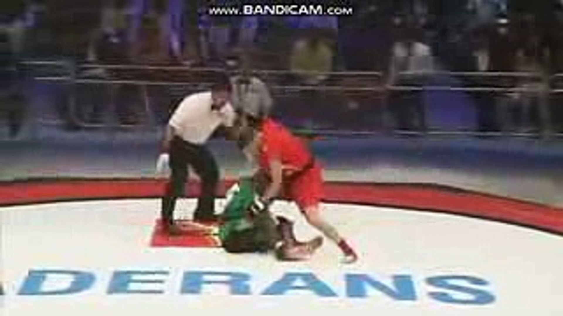 Fujiyama Fight Club フジヤマファイトクラブ 動画 17年6月2日 これぞ異種格闘ロマン 巌流島大特集 Video Dailymotion