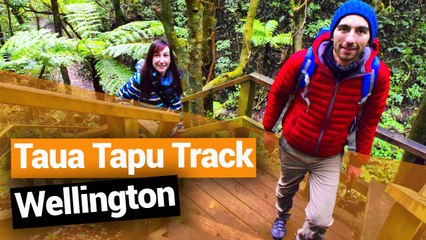 Taua Tapu Track in Plimmerton - New Zealand's Biggest Gap Year – Backpacker Guide New Zealand