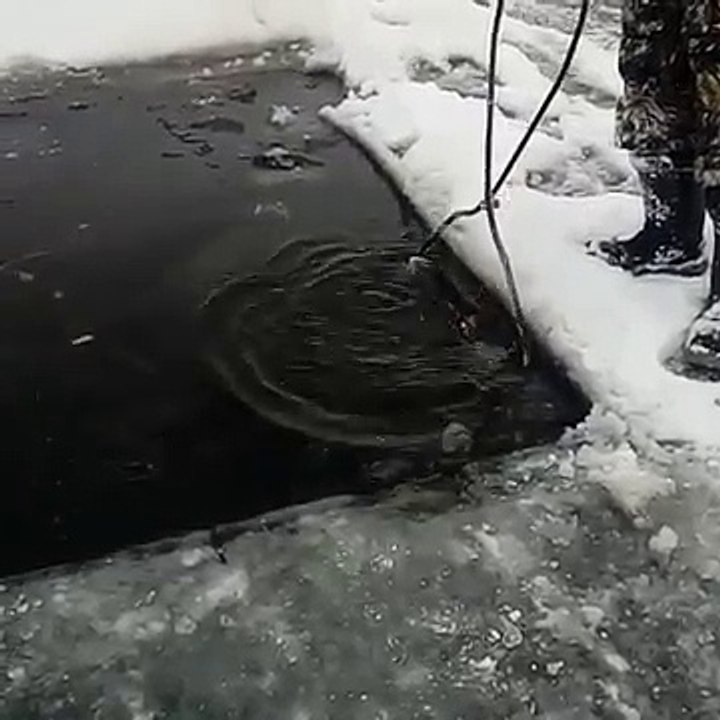 Unexpected find