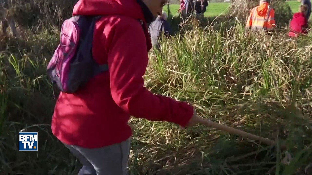 Joggeuse disparue en Haute-Saône: l'autopsie d'un corps "volontairement brûlé" pratiquée jeudi