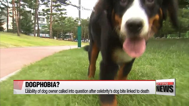 'Dogphobia'? S. Korea to tighten regulations on negligent dog owners