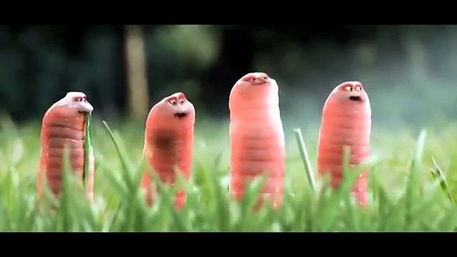 Phim hoạt hình siêu bựa _ phim hoạt hình hài hước dễ thương